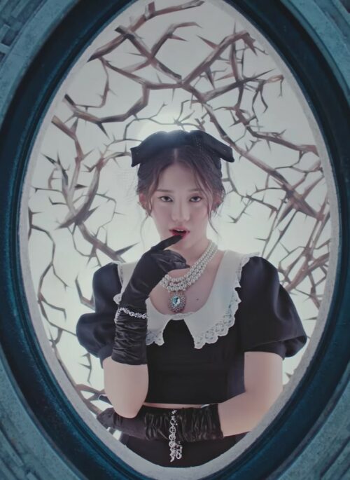 Black Puffed Sleeves Lace Collar Crop Top | Rora - BabyMonster