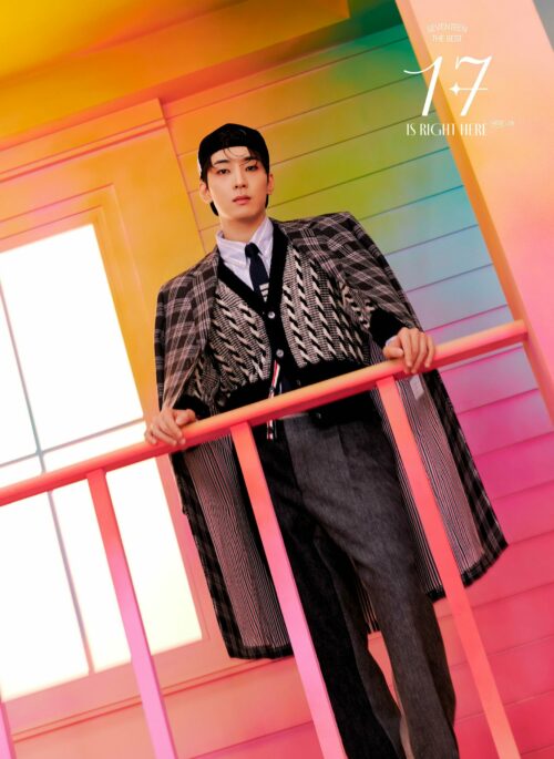 Black Twist And Stripes Cardigan With Banded Sleeves | Wonwoo - Seventeen