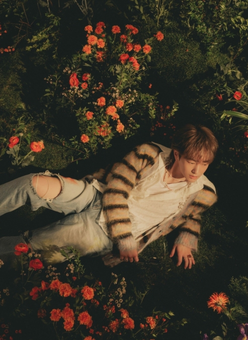 Grey Mohair Striped V-Neck Cardigan | Onew - SHINee