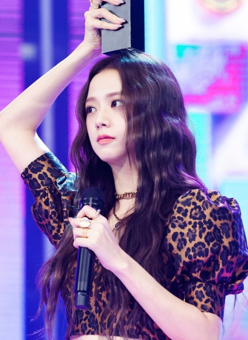 Brown Leopard Print Bustier Crop Top | Jisoo – BlackPink