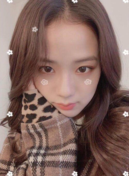 Brown V-Neck Leopard Print Detailed Sweater | Jisoo – Blackpink