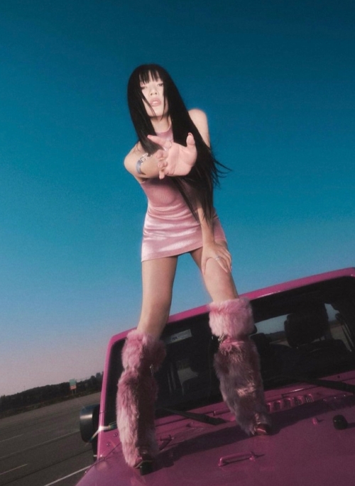 Pink Furry High-Heeled Boots | Joy - Red Velvet