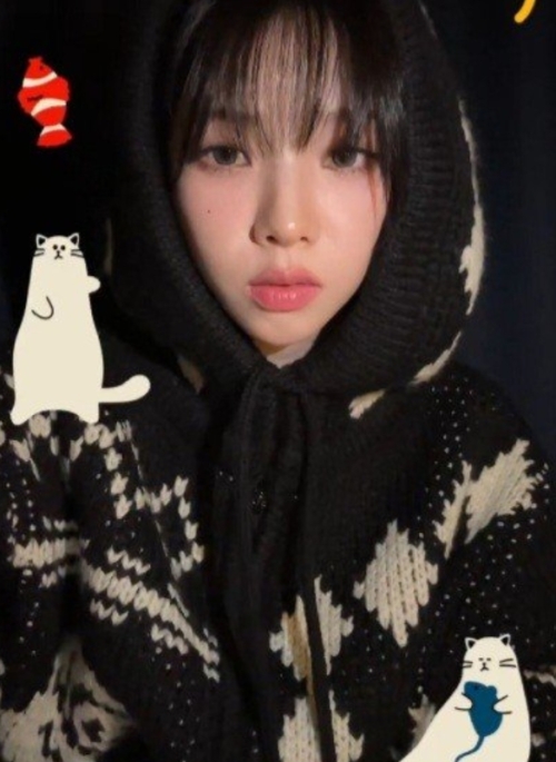 Black Patterned Hooded Knit Jacket | Karina - Aespa