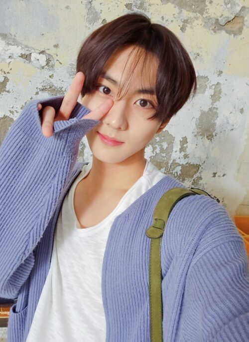 Light Blue Zip-Up Cardigan | Jungwon - Enhypen