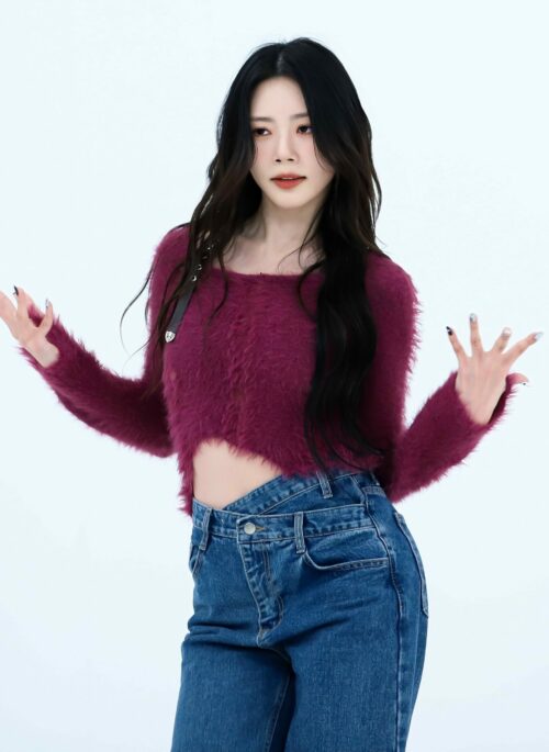 Lilac Wine Fluffy Long Sleeves Top | JiU - Dreamcatcher